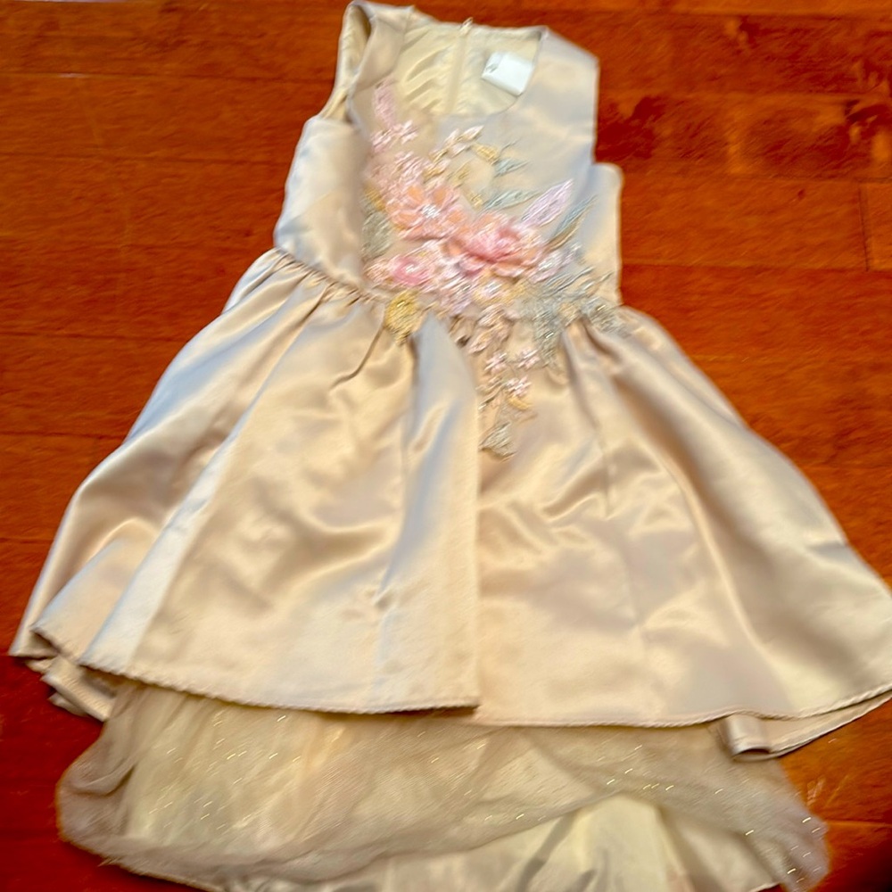 Rare Editions Girls’ Formal Dress - Champagne with Floral Embroidery (Size 6X)